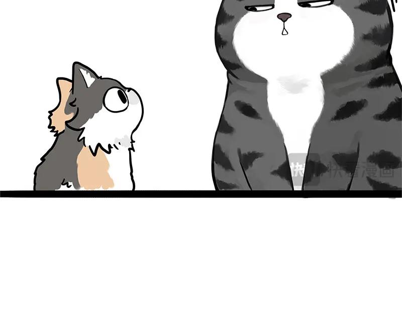84.jpg