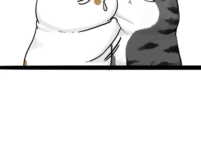 76.jpg