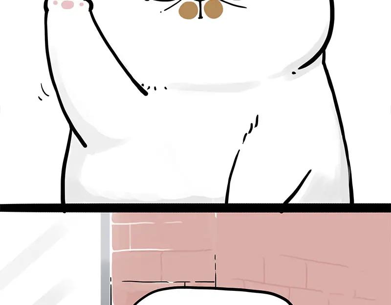 143.jpg