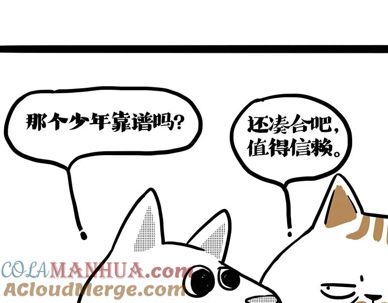 113.jpg