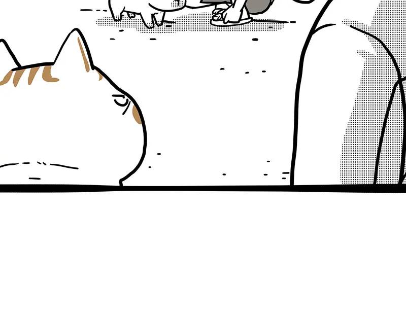 98.jpg