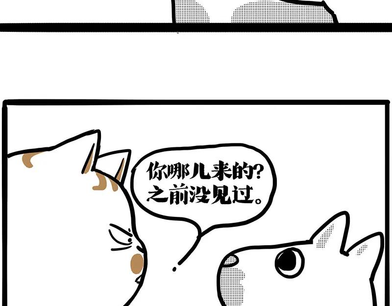 123.jpg