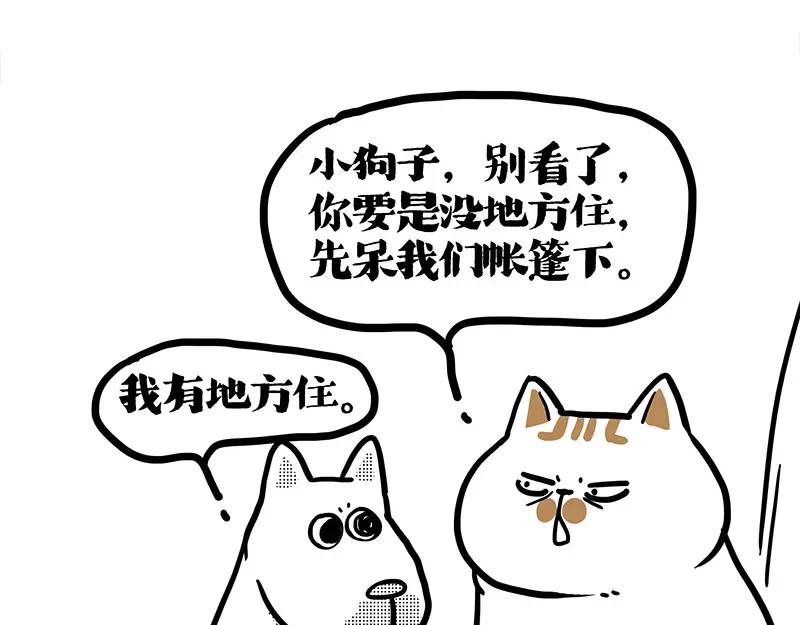 111.jpg