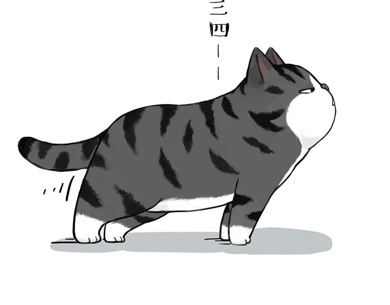 48.jpg