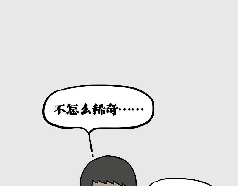 85.jpg
