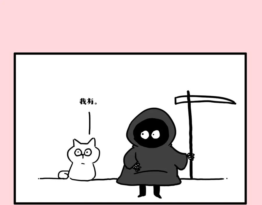 41.jpg