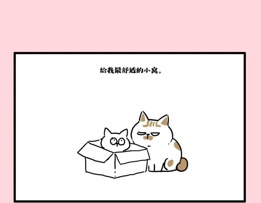 53.jpg