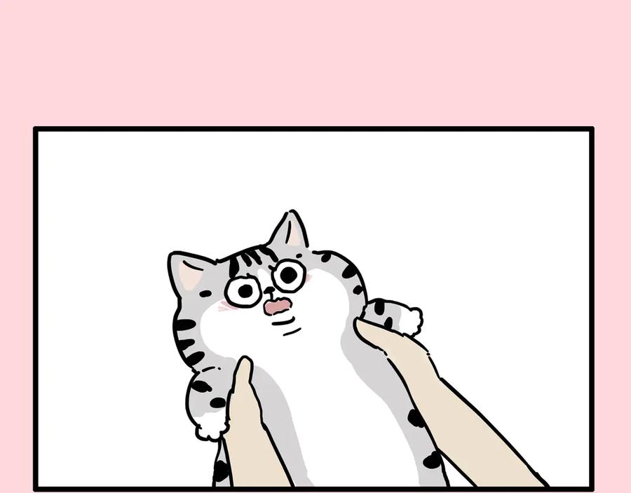 41.jpg