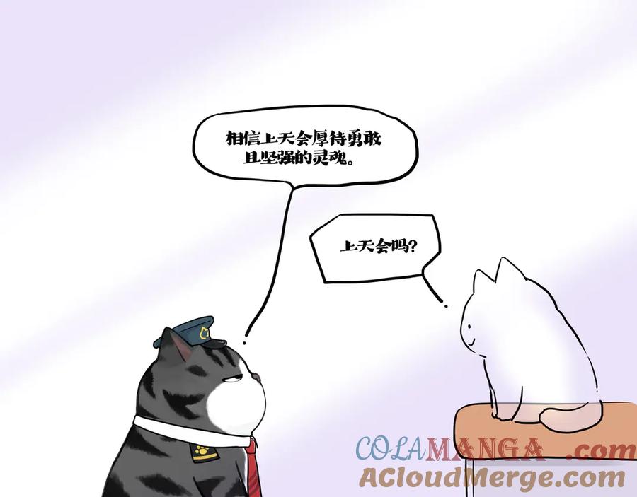 42.jpg