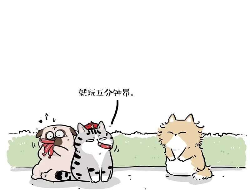 11.jpg