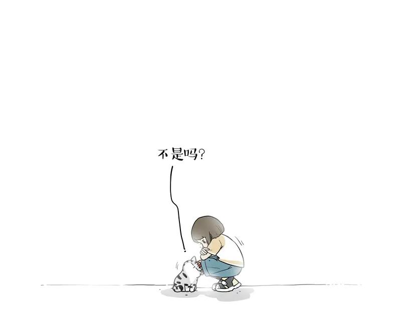 63.jpg