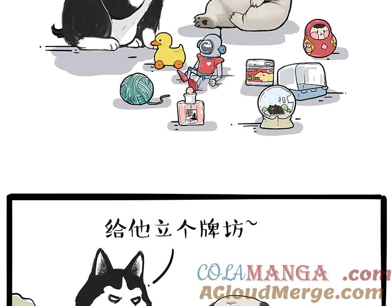 19.jpg