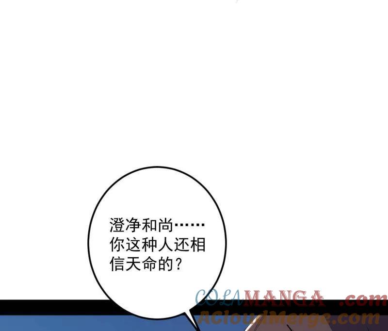 113.jpg