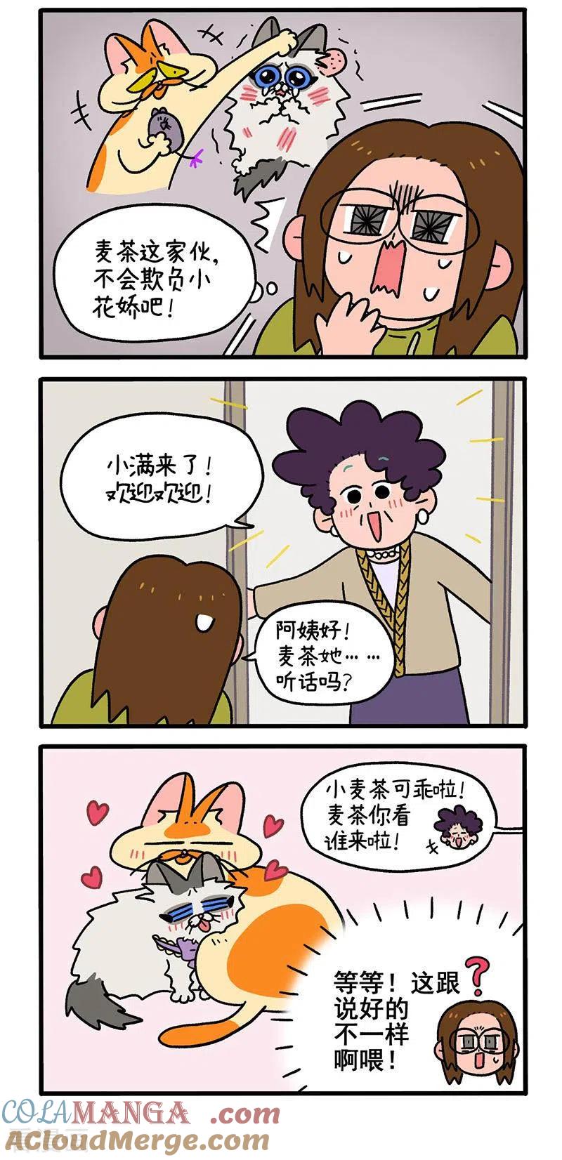 第50话1阿满回来了-阿满和麦茶-新漫画 日胖大海寺（第3张）