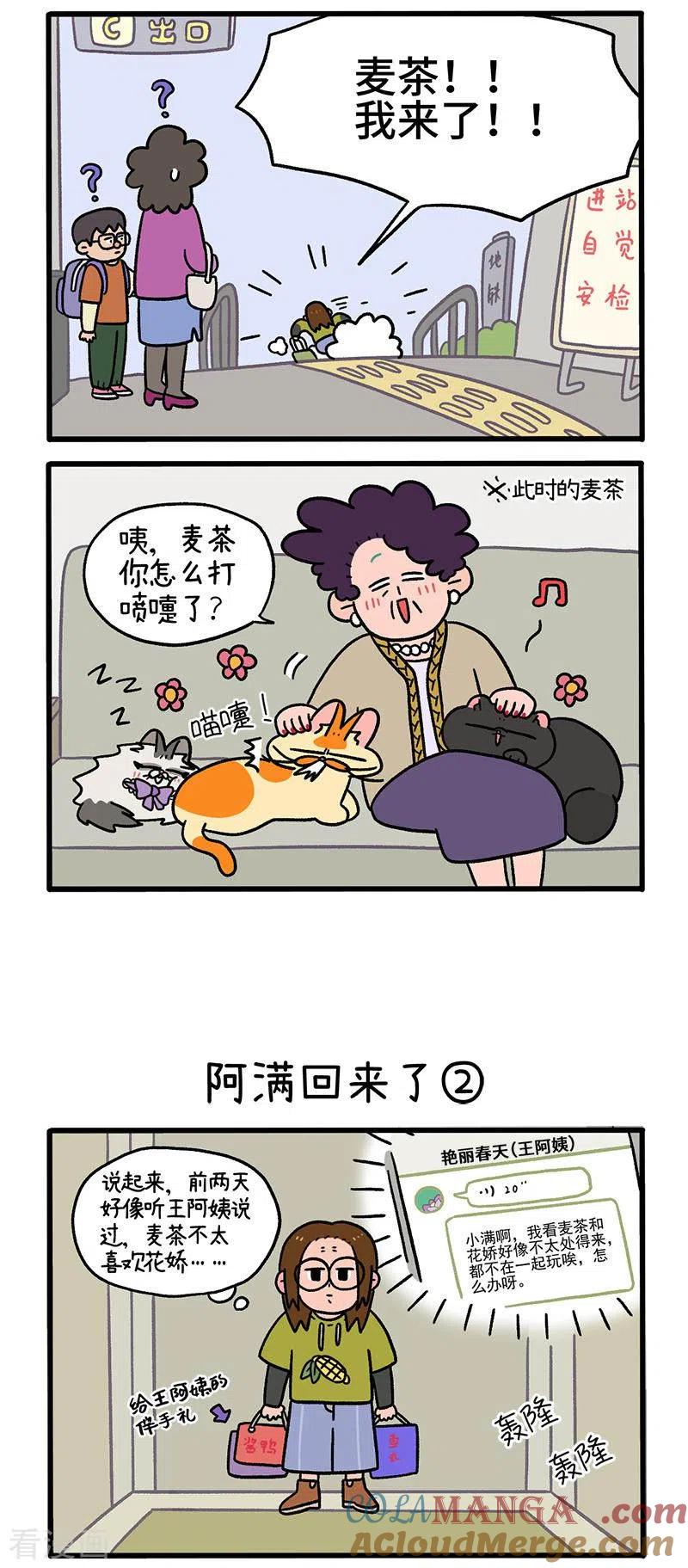 第50话1阿满回来了-阿满和麦茶-新漫画 日胖大海寺（第2张）