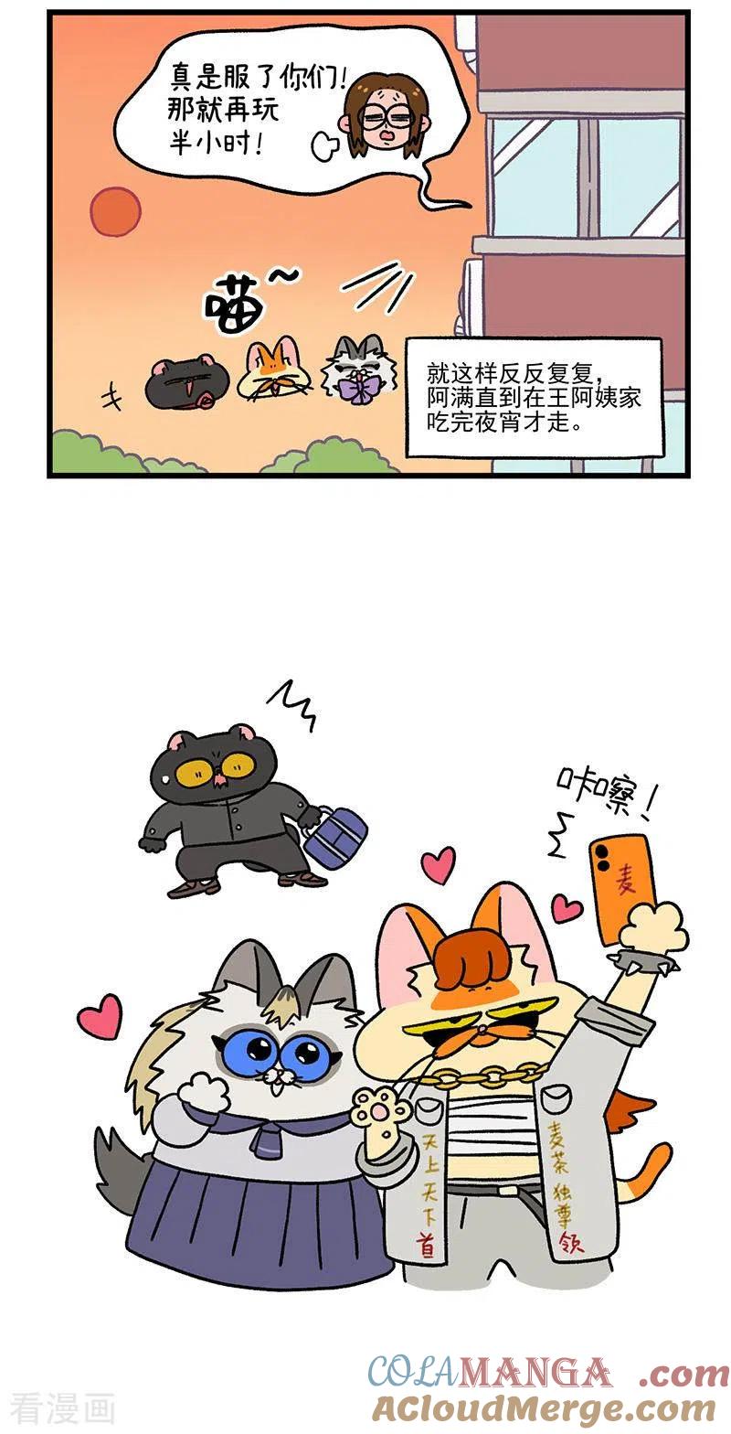 第50话2阿满回来了-阿满和麦茶-新漫画 日胖大海寺（第5张）