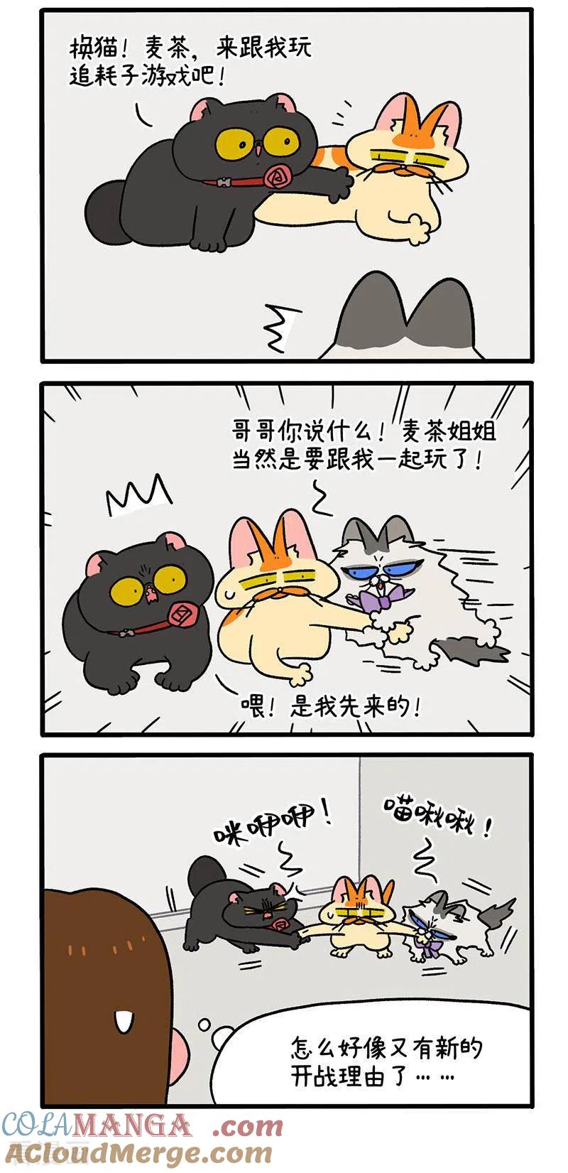 第50话2阿满回来了-阿满和麦茶-新漫画 日胖大海寺（第3张）