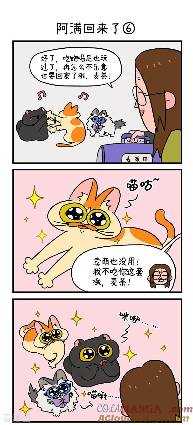 第50话2阿满回来了-阿满和麦茶-新漫画 日胖大海寺（第4张）