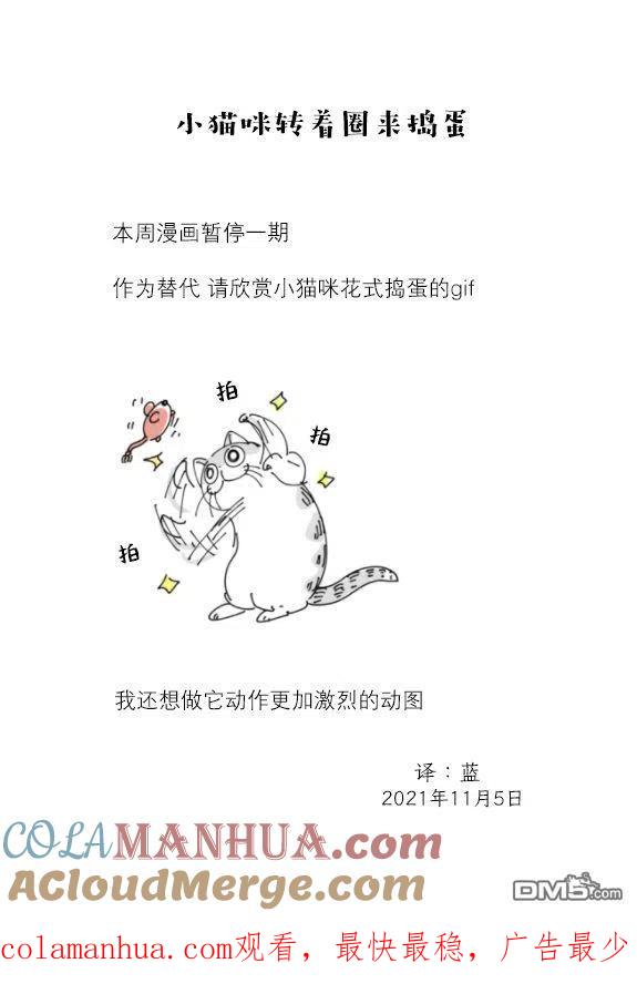第89话-关于养猫我一直是新手-キュルZ（第1张）