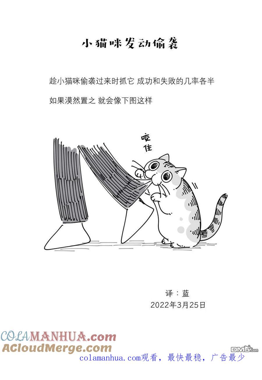 第109话-关于养猫我一直是新手-キュルZ（第3张）