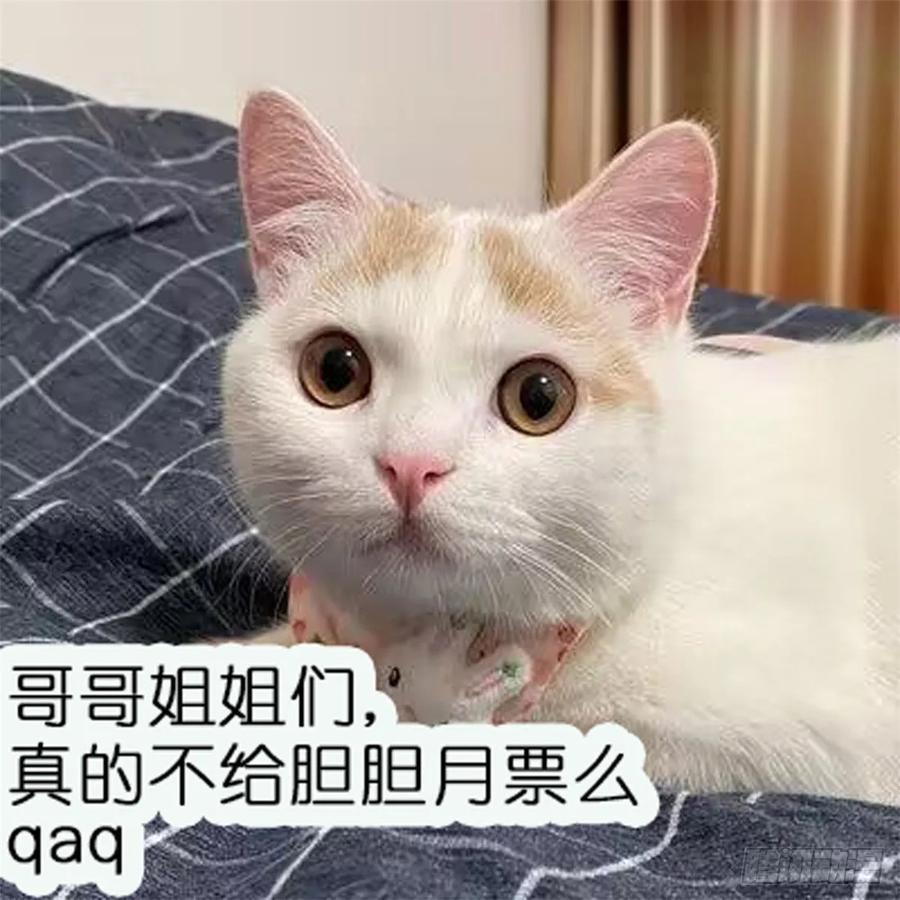 44.jpg