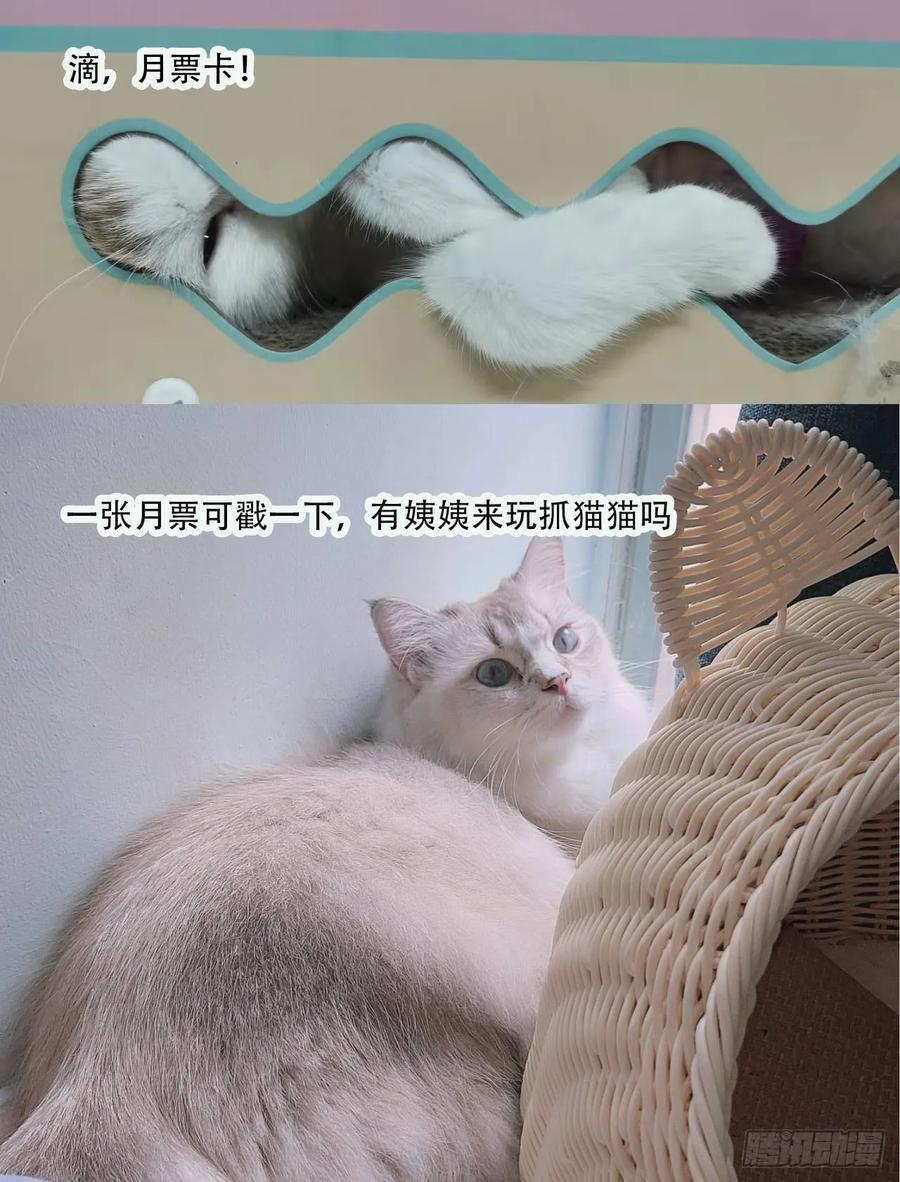 71.jpg
