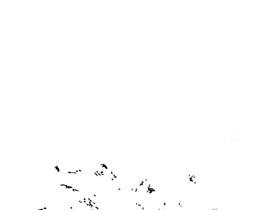 163.jpg