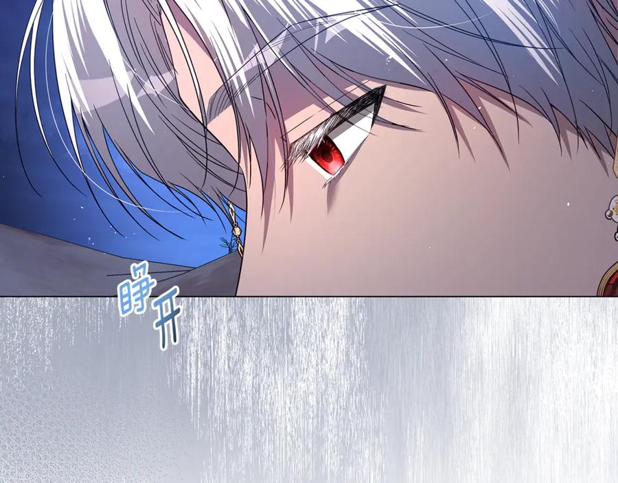243.jpg