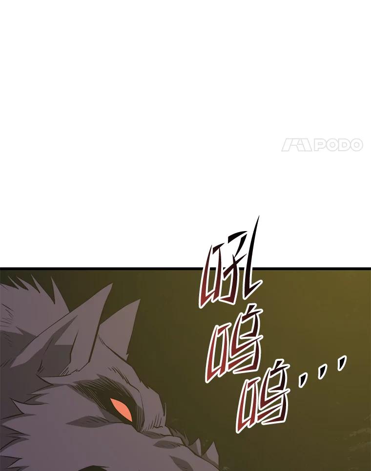 146.jpg