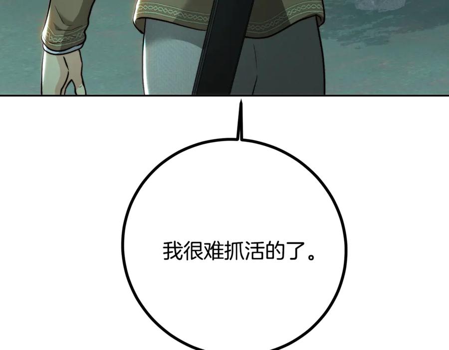 146.jpg