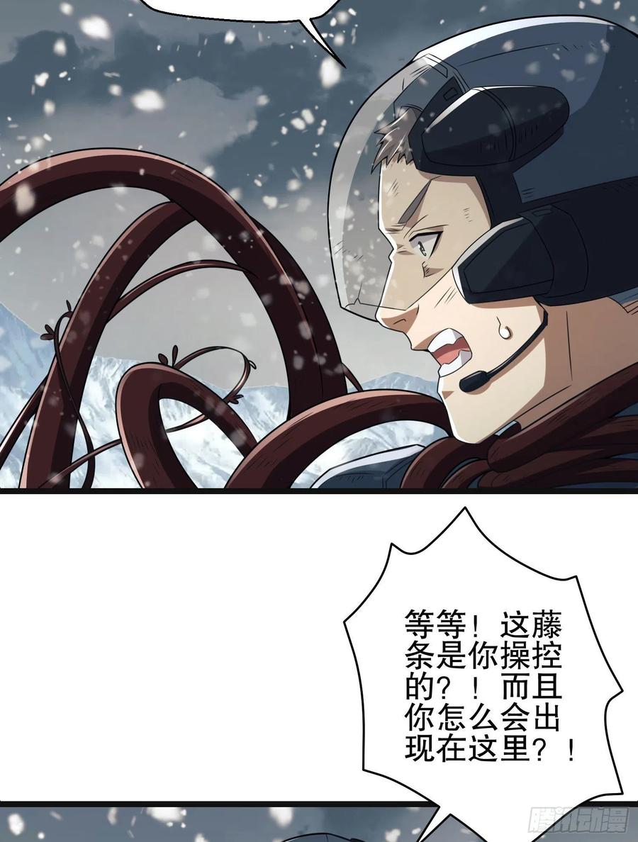 41.jpg