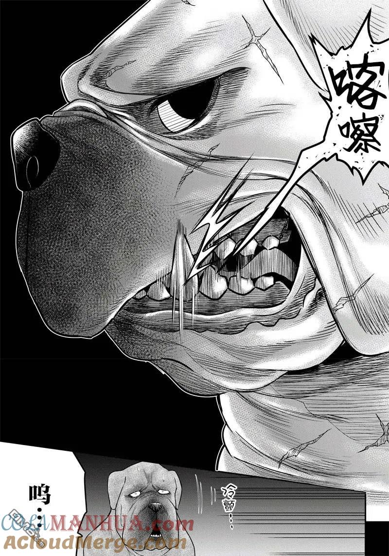 第141话-杀手餐厅-河合孝典 平山梦明（第5张）