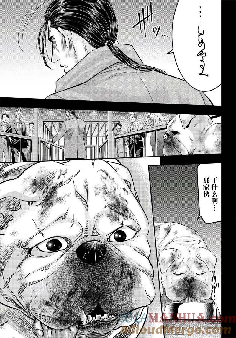 第141话-杀手餐厅-河合孝典 平山梦明（第15张）