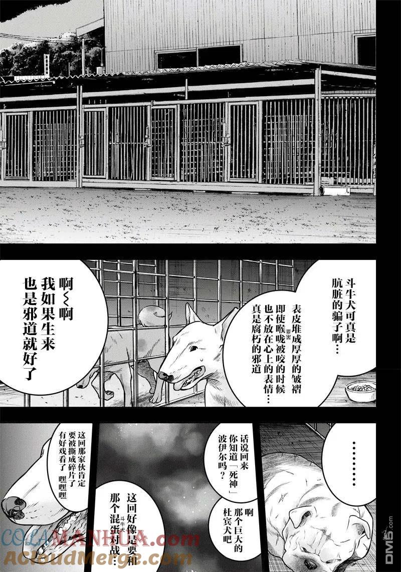 第141话-杀手餐厅-河合孝典 平山梦明（第9张）