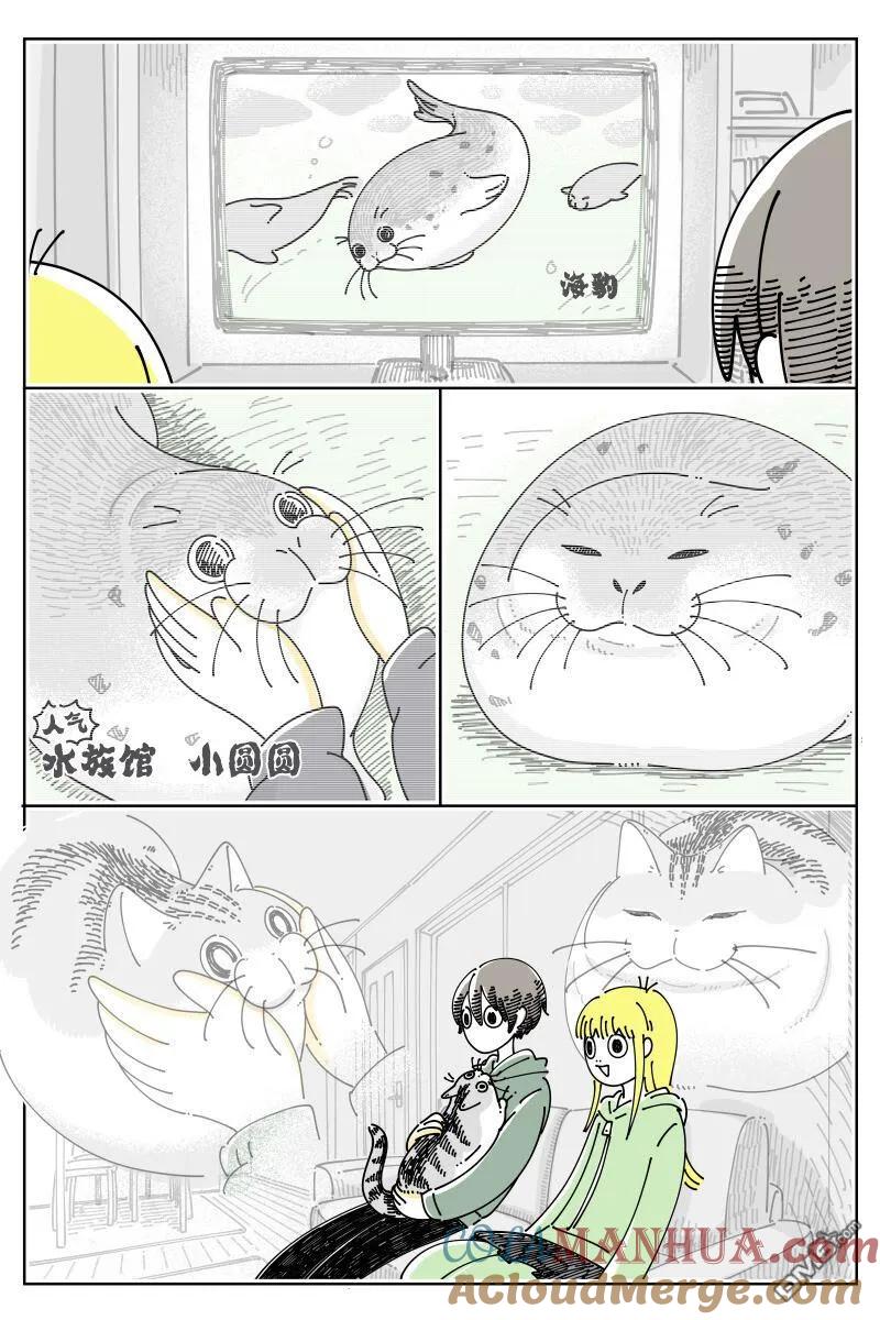 第156话-关于养猫我一直是新手-キュルZ（第1张）