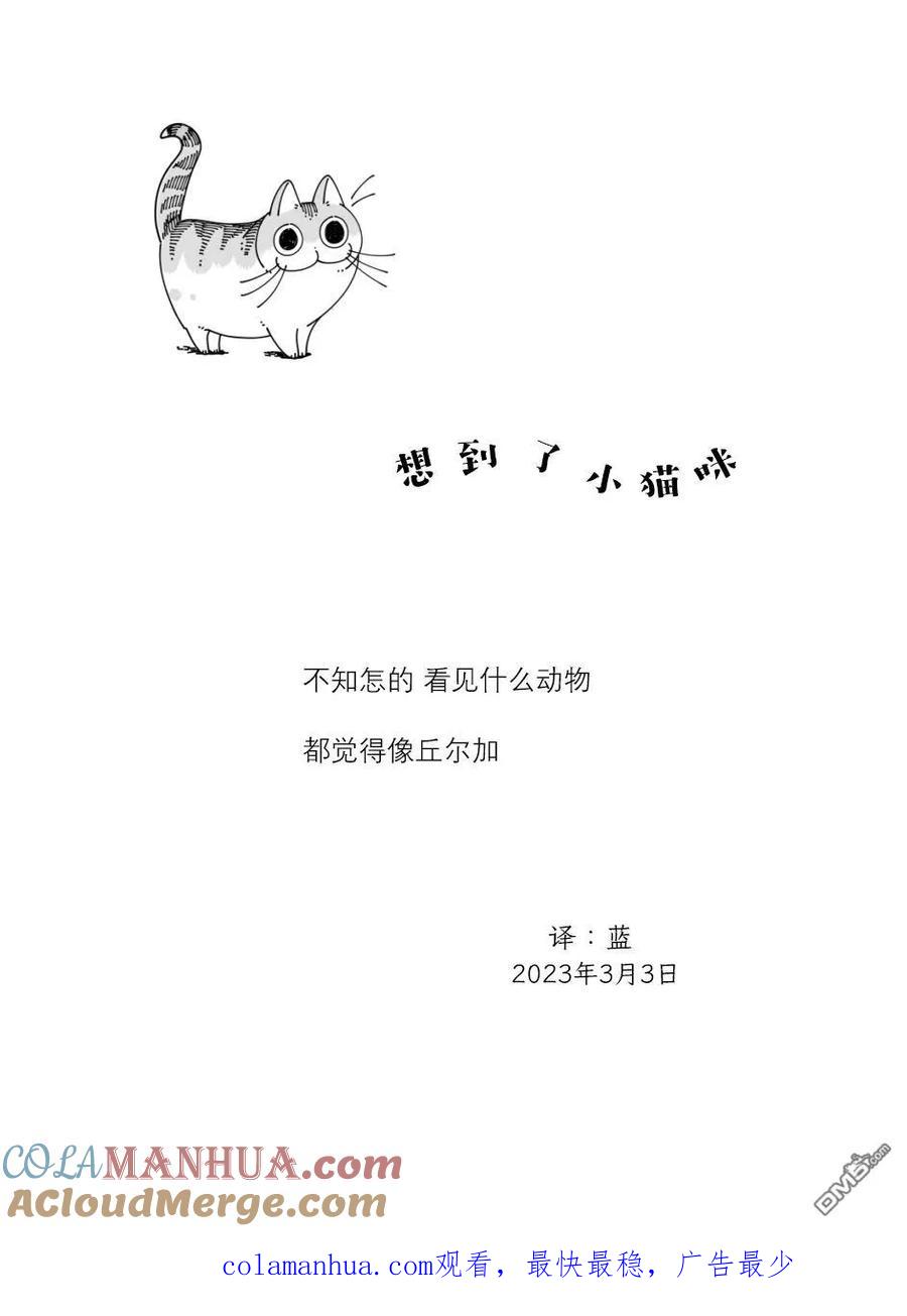 第156话-关于养猫我一直是新手-キュルZ（第3张）