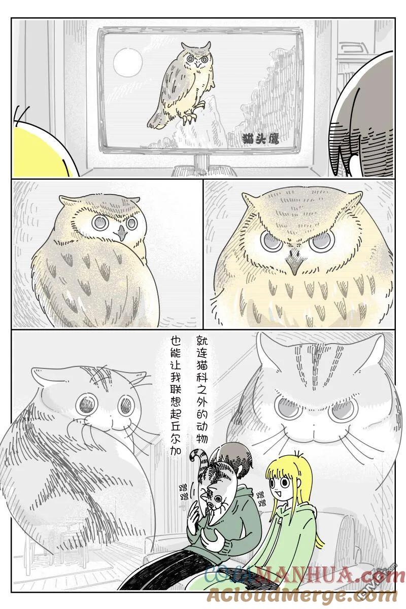 第156话-关于养猫我一直是新手-キュルZ（第2张）