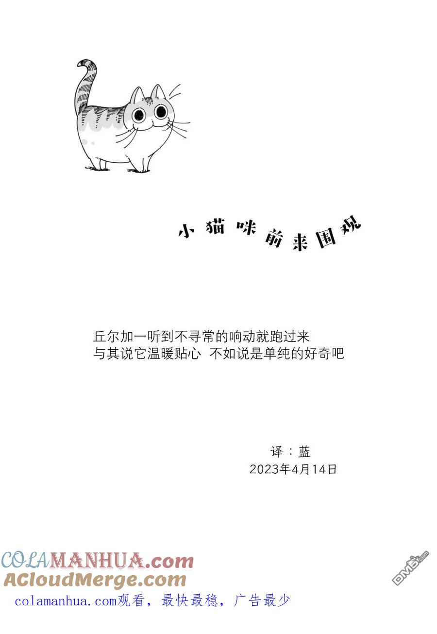 第162话-关于养猫我一直是新手-キュルZ（第3张）