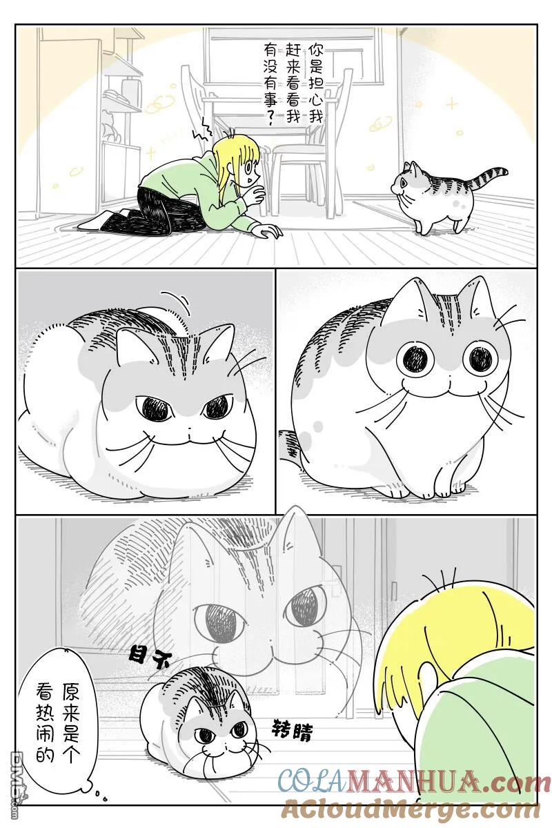 第162话-关于养猫我一直是新手-キュルZ（第2张）