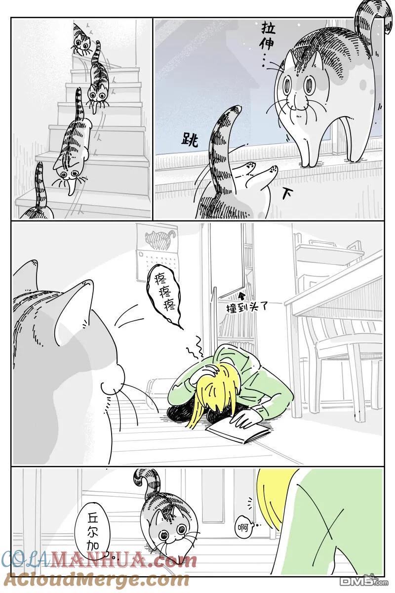 第162话-关于养猫我一直是新手-キュルZ（第1张）