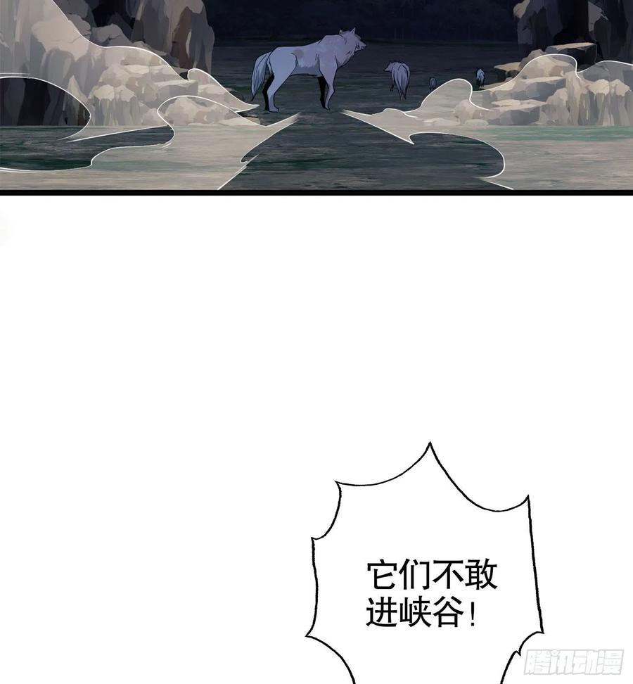 71.jpg