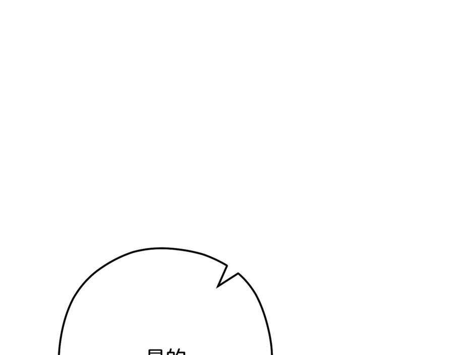 164.jpg