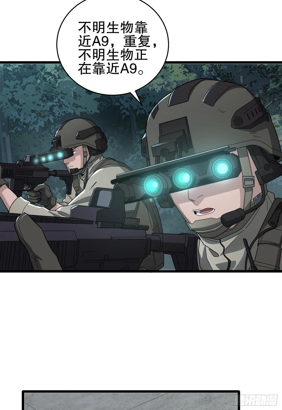 45.jpg