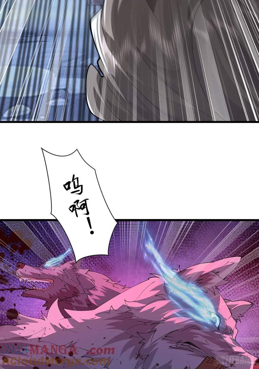 55.jpg