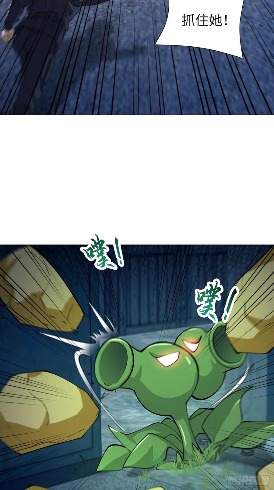 41.jpg