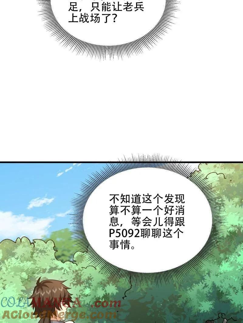 25.jpg