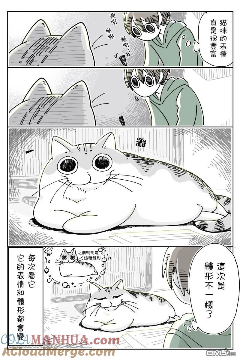 第46话-关于养猫我一直是新手-キュルZ（第2张）