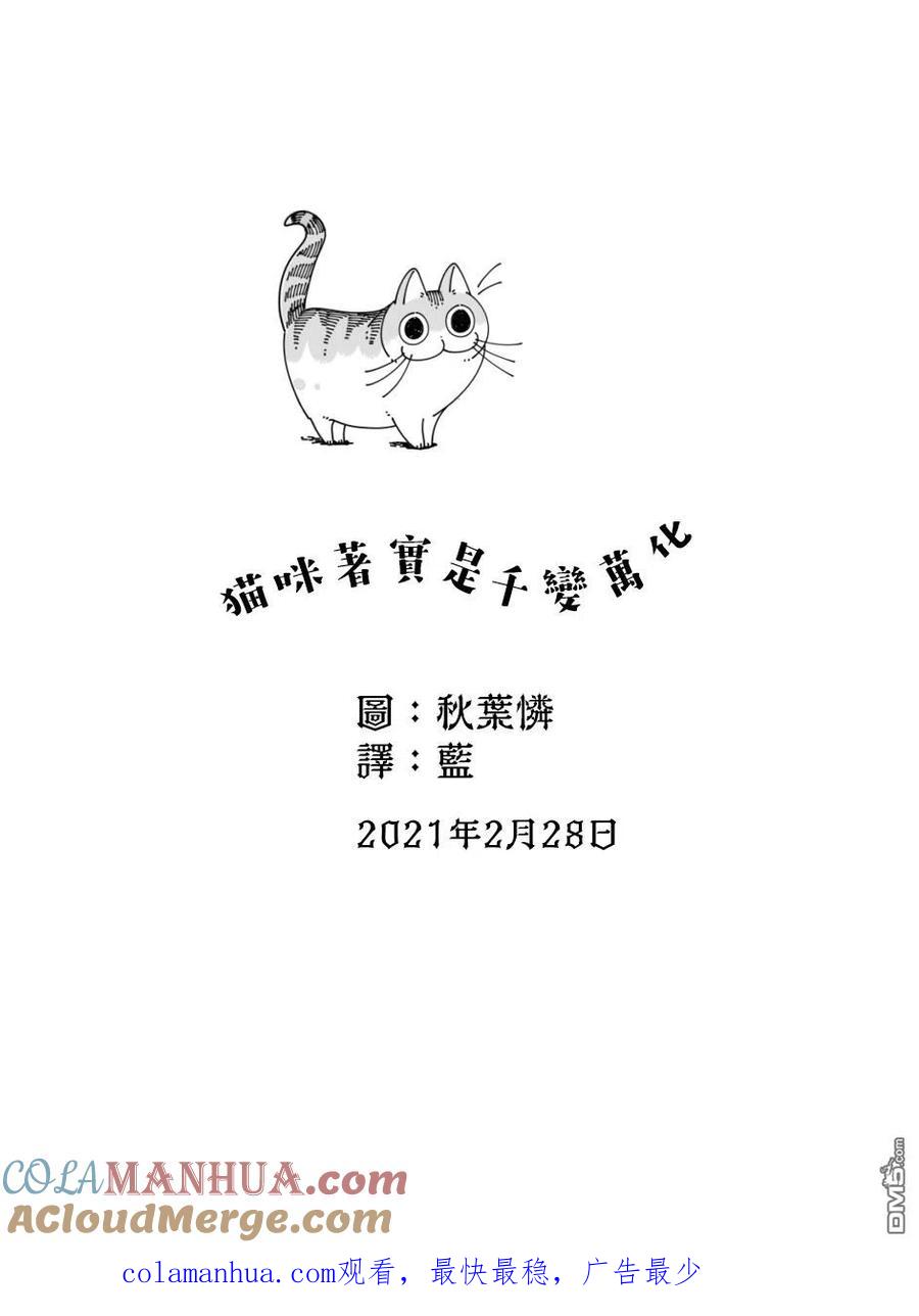 第46话-关于养猫我一直是新手-キュルZ（第3张）