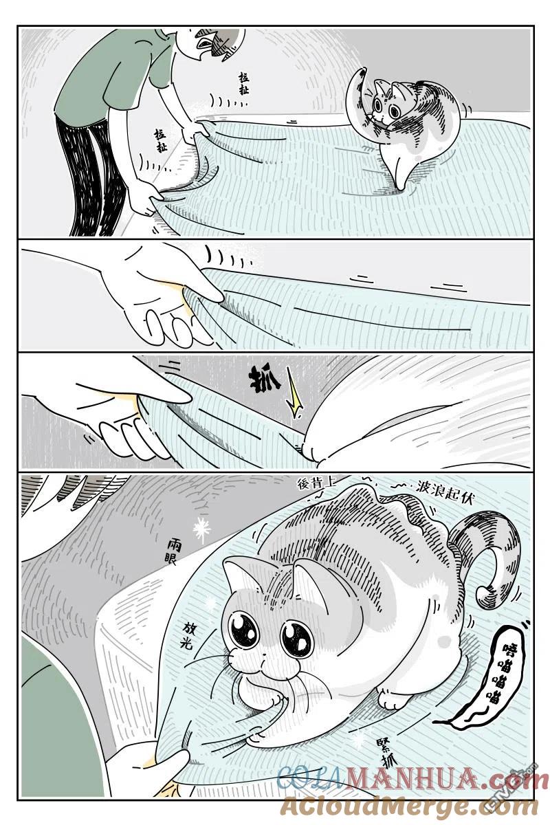 第71话-关于养猫我一直是新手-キュルZ（第2张）