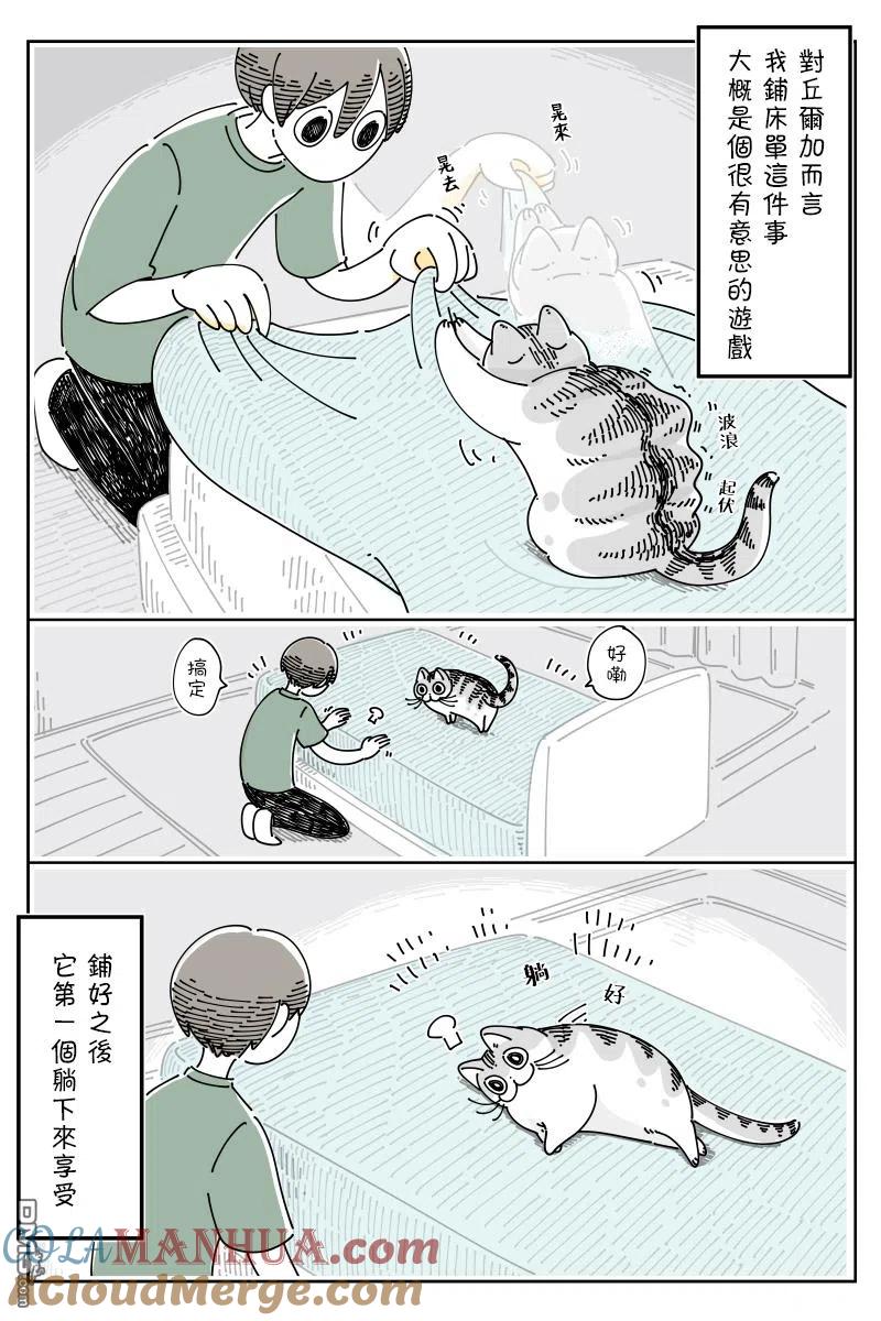 第71话-关于养猫我一直是新手-キュルZ（第3张）